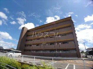 ロベリアの画像