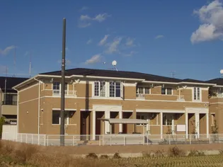 ルピナスBの画像