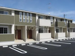 サザン クロスの画像