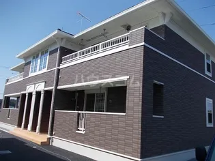 ノーヴァ ミニョンの画像