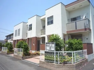 フェアリー アイリスの画像