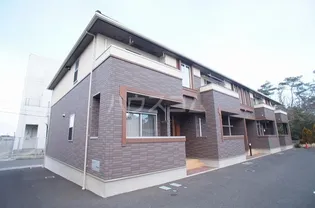 サニープラシード Vの画像