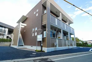 プラシードの画像