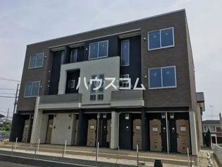 プリムローズの画像