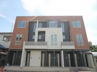 カメリア サザンカの画像