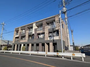 ハナミズキの画像