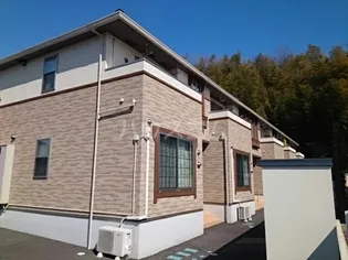 プリムラ 紫塚の画像