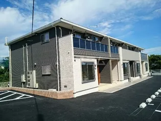 グレイス プラシード Bの画像