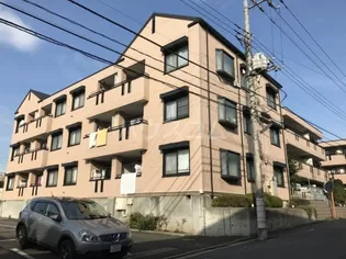 シルクトゥリーAの画像