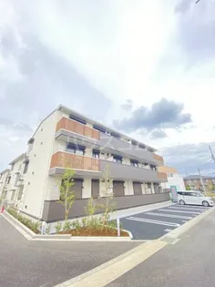 リリー アネラの画像