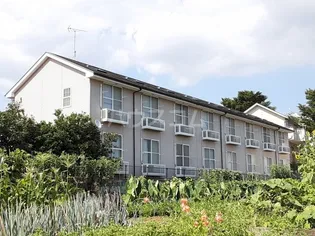 レオパレス鶴間アイリスIIの画像