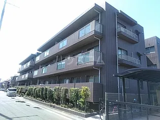 コート 若園の画像