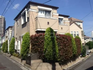 サーフィスの画像