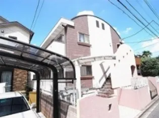 FLATオリーブの画像