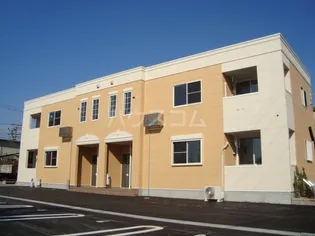 チェリーブロッサムの画像