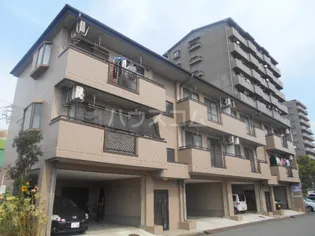 アムール正徳の画像