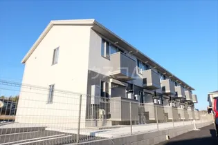 エーデルワイスの画像