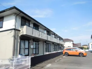 ハイカムールSHIMIZUの画像