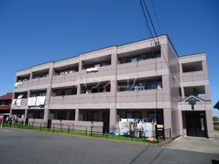 M エターナルの画像