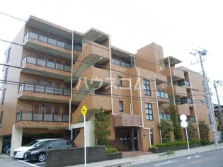 エスペランサの画像