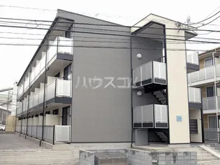 ダンディライオンの画像