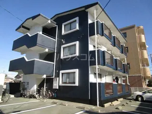 パイン ベースの画像