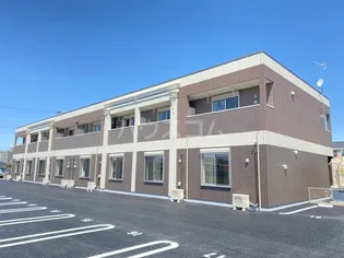 ミュールの画像