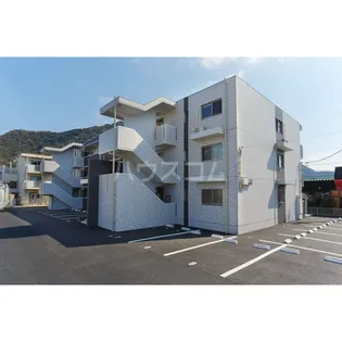 シーベルズの画像