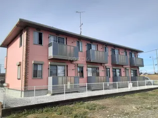 ピーチカノンの画像