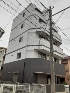 SECOND CORALの画像