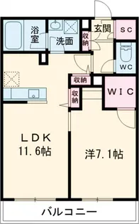 ミルフォードテラス【1階】の間取り