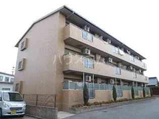 フォレストYの画像