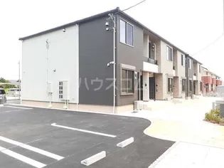 セントポーリアBの画像