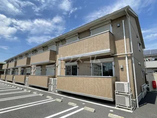 ハナミズキの画像