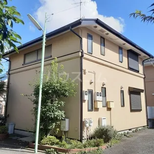 フラット Yの画像