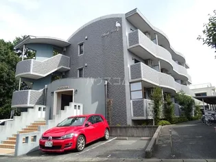 ウインディ レイの画像