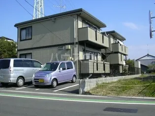 はなみずきの画像