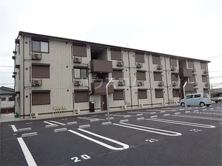 ニーナサクレの画像