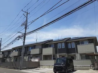 ルピナスの画像