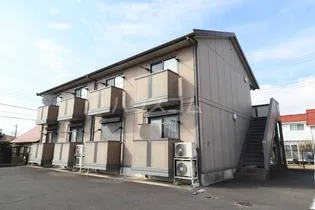 シャルマンの画像