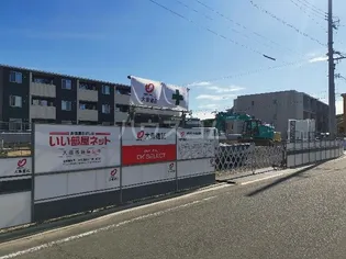 トラディシオンAの画像