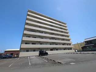 エムズドリームXの画像