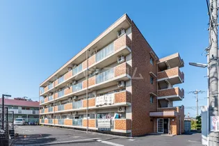 サニープレイスの画像