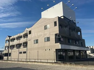 岐阜県岐阜市薮田南3丁目【マンション】の外観