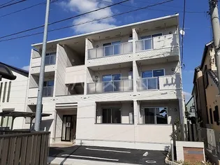 ヴィオレータの画像