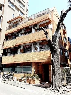 ファイン上馬の画像