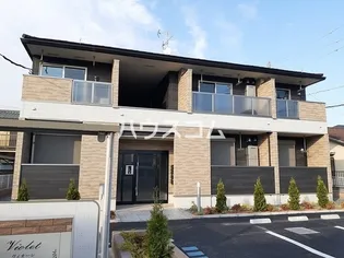 ヴィオーレの画像