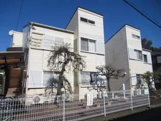 プラムガーデンの画像