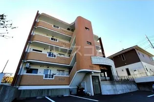 フォルトゥーナの画像