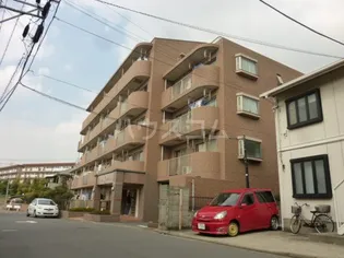 ヒロチサトの画像